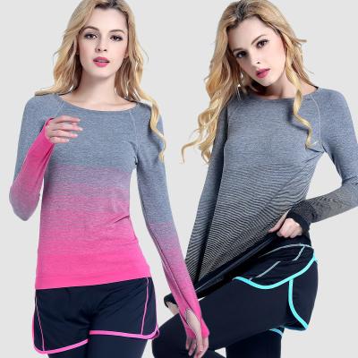 China QUICK DRY Plus Size Yoga Wear Round Neck Sports Fitness Shirt Seamless Gradient Long Sleeves Running T Shirts For Women for sale