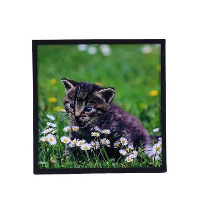 China Best Eco-Friendly Durable Selling Custom Square Wall Hanging Picture Frame Pet Memorial Gallery Photo Frame Wholesale for sale