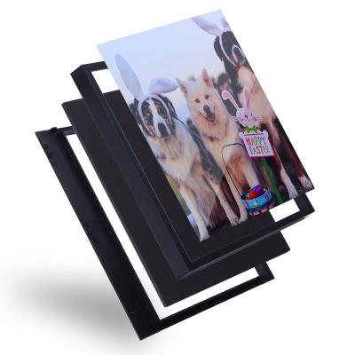 China Wholesale Eco-Friendly Durable Cheap Pet Photo Frame Funny Sexy Birthday Picture Hanging for sale