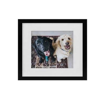 China Custom High Quality Fashion/Square Art Gallery Picture Light Weight Picture Pet Photo Frame for sale