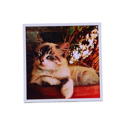 China Hot Selling Memorial Picture Frame Eco-friendly Durable Restickable Frame Pet Photo Hanging Gallery Memorial Picture Frame for sale