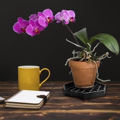 China Plant Humidity.Trays Easy Clean Drip Tray For Potted Plant Perfect Filed Humidity Trays For Orchids for sale