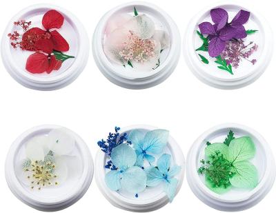 China 3d Nail Art DIY Decoration 6pcs Natural Dry Pressed Flowers Colorful Real Pressed Flowers For Crafts Floral Decors Nail Pendant for sale