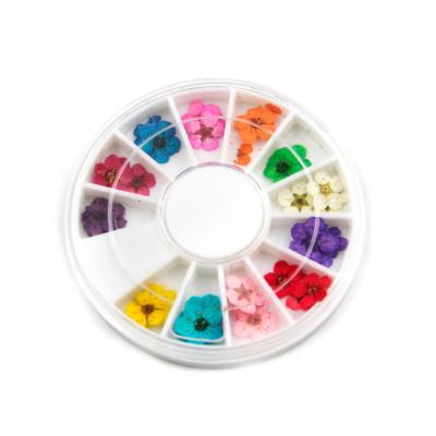 China Easy Apply 12 Colors Nail Art 3D Natural Pressed Dry Flower Lace Flower Decoration For UV Gel for sale