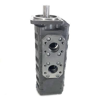 China ZOOMLION 50 TON CRANE Gear Pump Zoomlion 1010000017 1010000007 1010000236 1010000014 1010000010 1010000023 1010000020 1010000238 1010000239 101000024 for sale