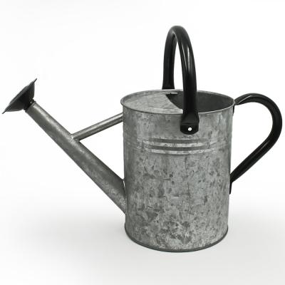 China Competitive Price High Quality Modern 1 Gallon Metal Garden Galvanized Watering Can for sale