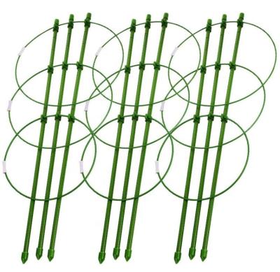 China Foldable Plant Support Cages 18 Inch Plant Cages with 3 Adjustable Rings, Pack of 3 (30