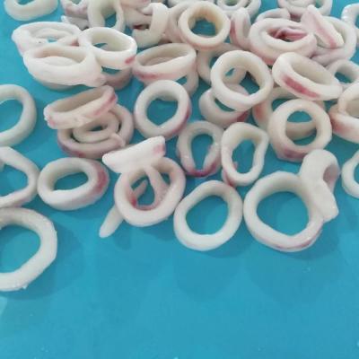 China NATURE todarodes frozen squid ring skin on low salt skinless nature for sale