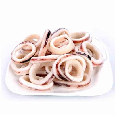 China IQF Frozen Todarodes Low Fat Squid Sotong Ring for sale