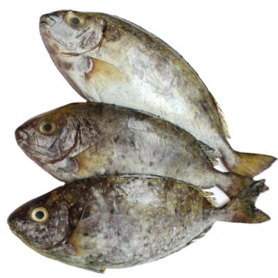 China IQF Organic Cheap Whole Round Rabbit Fish for sale