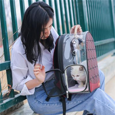 China Stored Portable Outdoor Laser Double Shoulder Pet Bag Travel Pet Backpack for sale