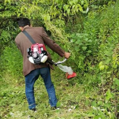 China Durable High Quality 4-Stroke 4 Stroke Brush Cutter Gasoline Grass Trimmer Brush Cutter Engine 35.8cc Grass Trimmer With CE Certificate for sale