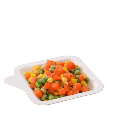 China Minimalist Biodegradable Sugar Cane Pulp Disposable Bagasse Sushi Food Fruit Container Lunch Tray Stores for sale