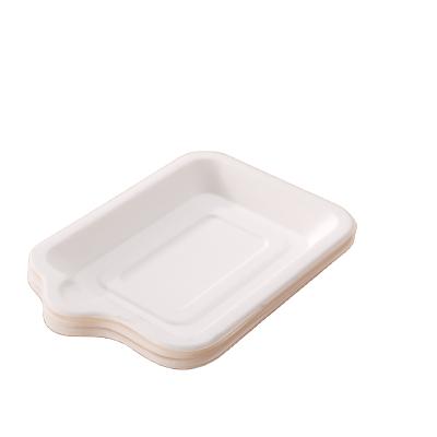 China OEM Large Rect Minimalist OEM Disposable Biodegradable Sugarcane Bagasse Food Container Dish Microwavable Tray for sale