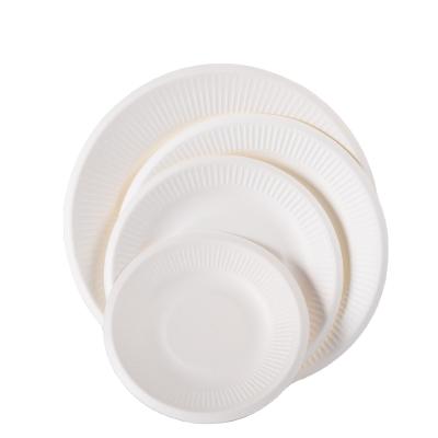 China New Minimalist High End 6 Inch Thin Packaging White Lace Bagasse Suit Paper Disposable Modern Disposable Dish for sale