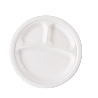 China Minimalist Compostable 9