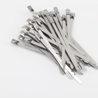 China High Quality Steel Wrap Exhaust Heat Ties New Induction Stainless Steel Metal Material Cable Ties for sale