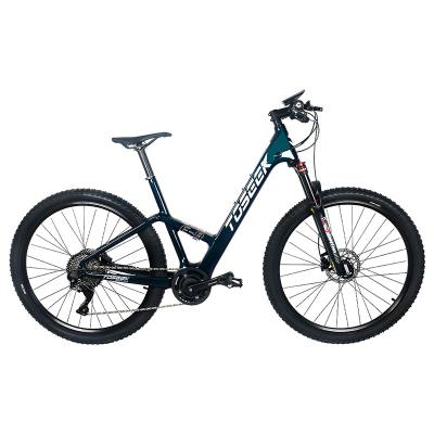 China 2021 Hot New Aluminum Alloy Toseek E-Bike 250W 25KM Speed ​​Travel Time Mountain Mtb Climb E-Bike for sale