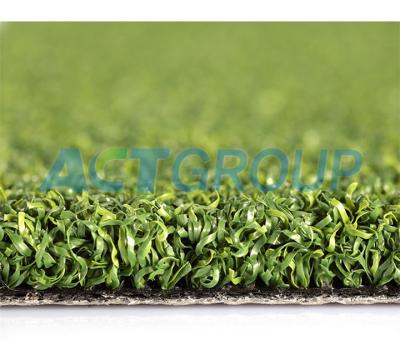 China Multipurpose Golf Artificial Grass Carpet , PE Curly Yarn Artificial Lawn Grass for sale