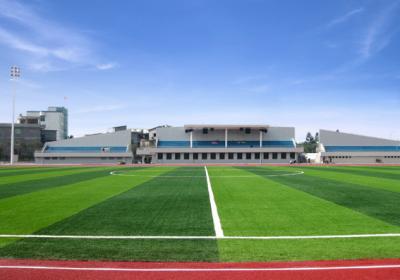 China Professional 40mm Field Green Football Synthetic Grass Artificial Grass Y40E for sale