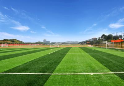 China Glatte schöne künstliche Gras-Matte, Hochleistungs-nicht- Einfüllen-Fälschungs-Gras-Wolldecke zu verkaufen