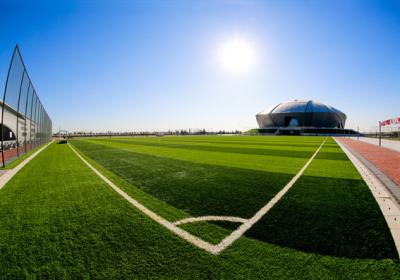 China Fußball-Rasen-synthetisches Gras-wasserdichter anti- Mehltau SchoolLandscaping künstliches zu verkaufen