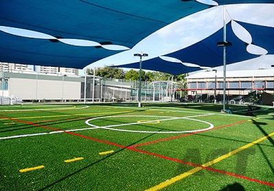 China Good Sports Performance Football Artificial Grass Durable Soccer Turf W60 for sale