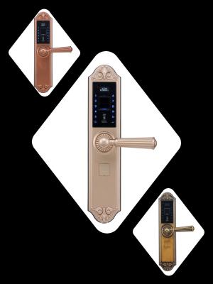 China New model European style fingerprint door lock for sale