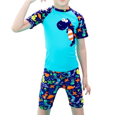 China 2020 New Antibacterial Boy's Swimwear Suit Boys Swim Trunks Children's Beachwear Boy's Summer Seaside Play Set for sale