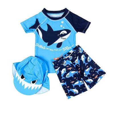 China Antibacterial Baby Boy Swim Set With Sun Protection UPF50+ Boys 3 Piece Swimwear With Hat for sale