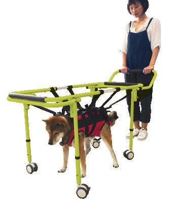 China Adjustable Older Dog Cat Wheelchair Walker Rehabilitation Training Length and Height for Dogs with Hind Limb Paralysis for sale