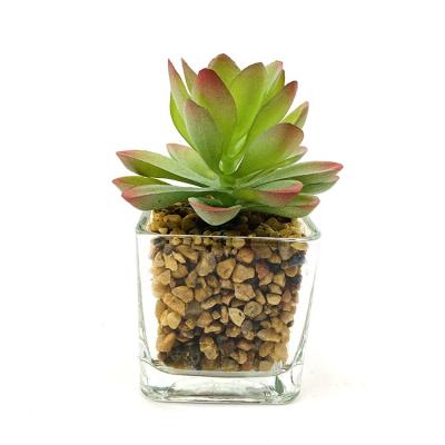 China Modern High Quality Wholesale Green Potted Succulents Artificial Decorative Bonsai Plant for sale