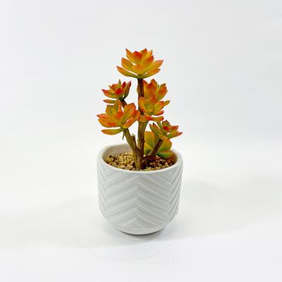 China Artificial Succulents Mini Potted Fake Succulents Outdoor Fake Succulent Plants for Flower Arrangements for sale