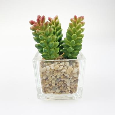 China Minimalist Cute Home Succulent Plants Small Artificial Plant Decoration Glass Pots for sale