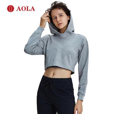 China AOLA Sports Wear Crop Nylon Top Seamless Women's Leggings Long Sleeves Hoodie Workout Tight Breathable Women Sportswear for sale