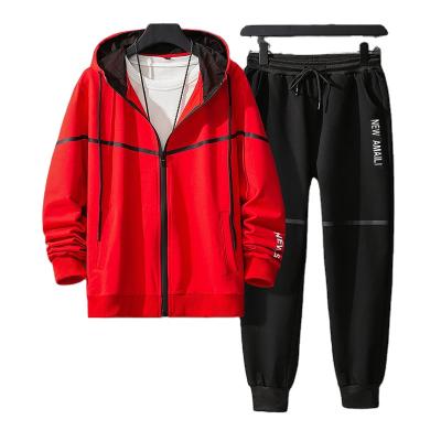 China Updraft 2020 Autumn And Winter Hooded Two Piece Sports Cardigan Long Sleeve Casual Fashion Set Of Pants for sale