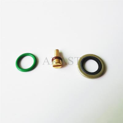 China Atlas Valve Repair Pack Screw Air-Compressor Parts For Atlas Copco One Way Valve Service Kit 1613900501 for sale