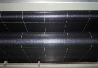 Chine Maille horticole de la membrane 100gsm 7x7 15x15 de couverture végétale à vendre