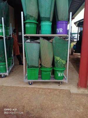 China Height 1900mm Dutch Plant Trolley for sale