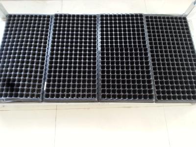 China Horticultural Seed Raising Tray , 1MM Vegetable Starter Trays for sale