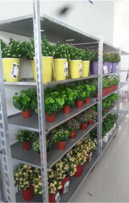 China Flower Auction 500kg-1000kg Wheeled Garden Plant Pot Trolley Outdoor  Use for sale