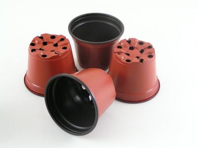 China Propagation Horticultural Pots And Trays for sale