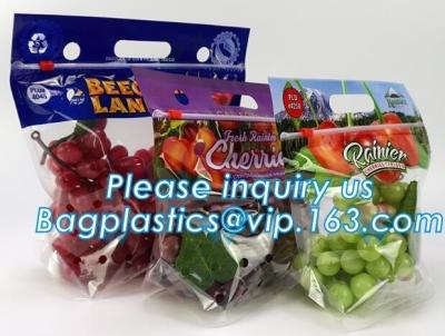 China reusable clear printed zippered storage slider bag for vegetables and fruits, recyclable fresh fruit packaging ziplock w for sale