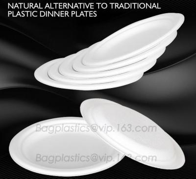 China round plate for dinner use, compostable products round plate for dinner, dinner plate products for sale