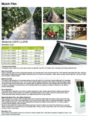 China Mulch film,plant protect sleeve film w/hole,air-breath mulch film,silver,black, green,mulch film, pull-off hole,ldpe+lld for sale