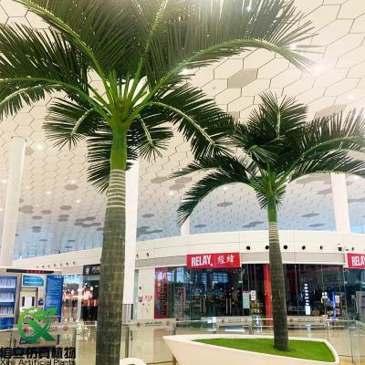 China Durable Sunlight Proof Outdoor Royal Palm Fiberglass Regia Roystonea Artificial Palm Tree for sale