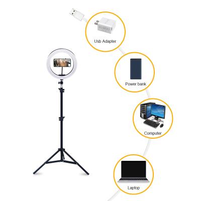 China Amazon Photographic Full Color Gesture Feeling 10inch Ring Light With Tripod Stand / Camera Selfie Circle Led Ring Light CLEN-RINGlight for sale