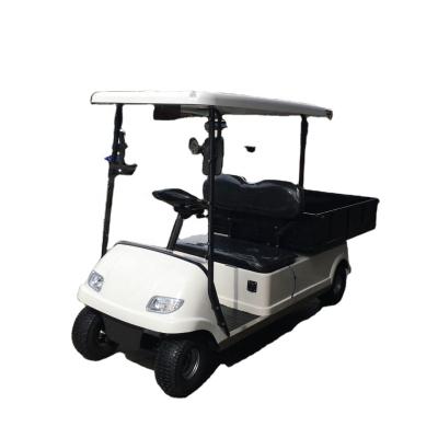 China Cheap AC 3kw 275A Japan Mini Controller Low Price Cargo Golf Cart Strong Loading Capacity 400KG 20% Uphill 2 Seats 400kg for sale