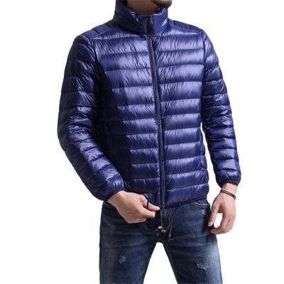 China The new QUICK DRY men's light weight down jacket men's stand collar winter jacket plus size men's for sale