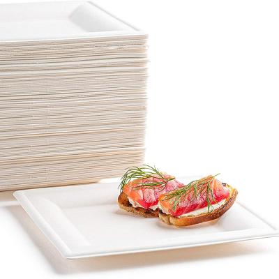 China Biodegradable Heavy Duty Square Disposable Plates for sale